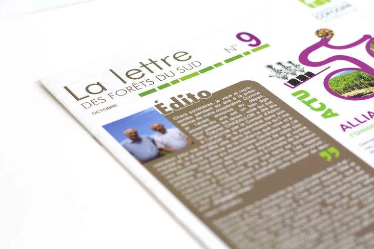 newsletter